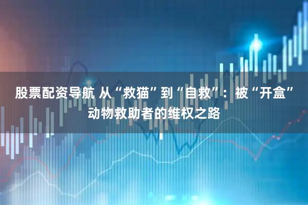 股票配资导航 从“救猫”到“自救”：被“开盒”动物救助者的维权之路